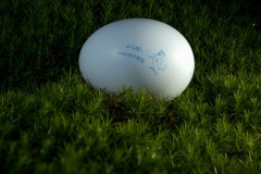 2021-11-19-18-02-11-BRadius8Smoothing4-Bearbeitet-Kopie