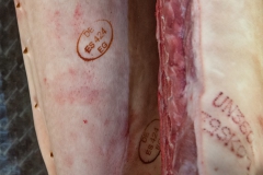 D75_7944-Bearbeitet-2-Bearbeitet